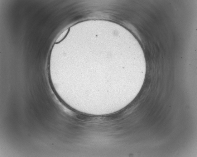 X0000074211387200609221930