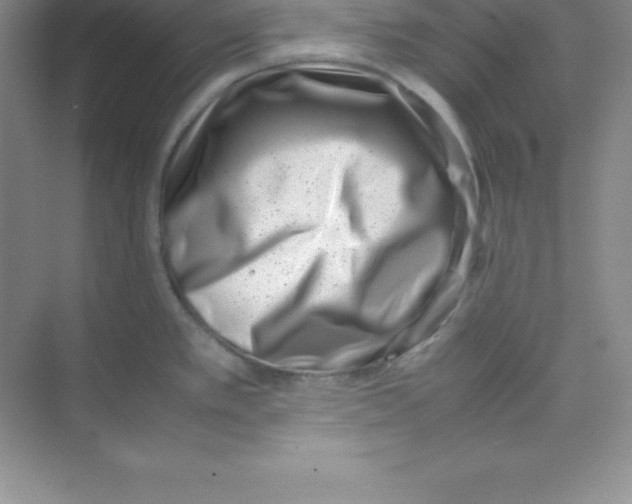 X0000074211389200609221930