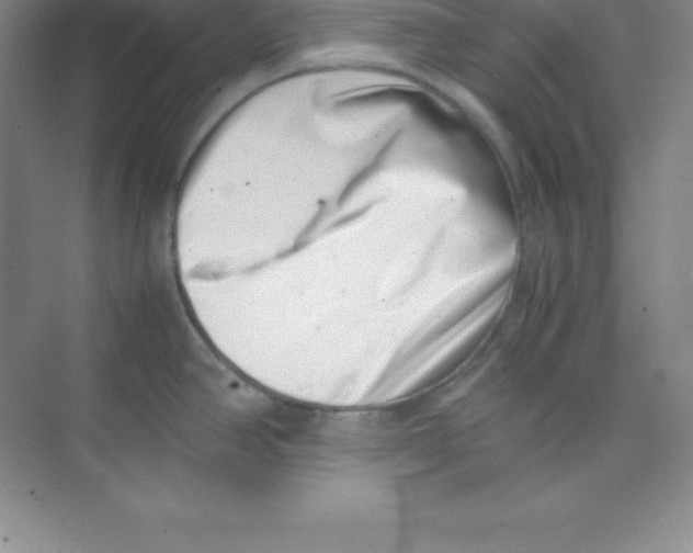 X0000074211390200609221930