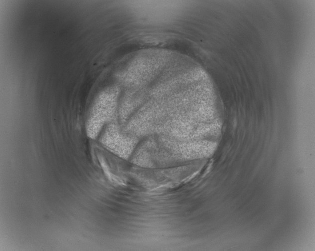 X0000074211394200609221929