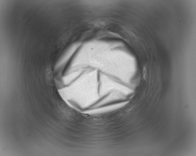 X0000074211395200609221929