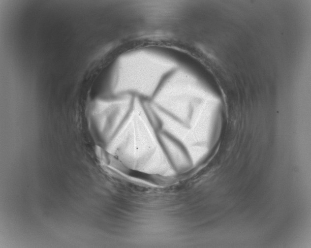 X0000074211398200609221929