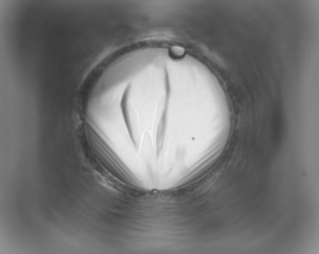 X0000074211400200609221929