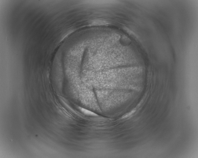 X0000074211401200609221929