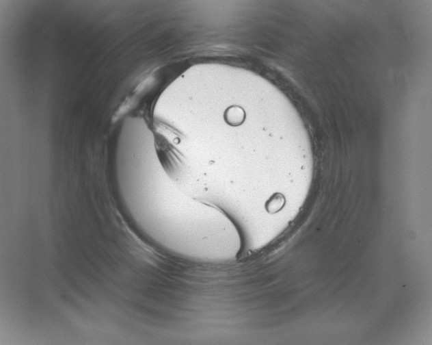 X0000074211402200609221929