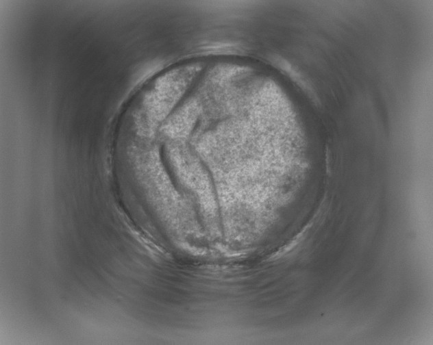 X0000074211405200609221929