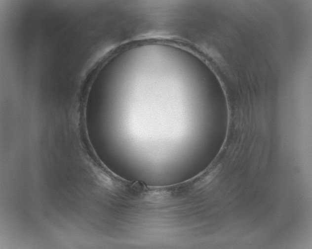 X0000074211406200609221929