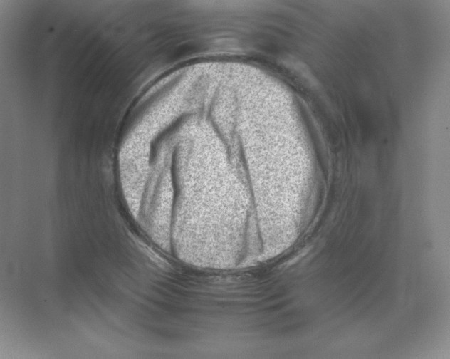 X0000074211409200609221929