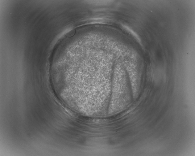 X0000074211411200609221929