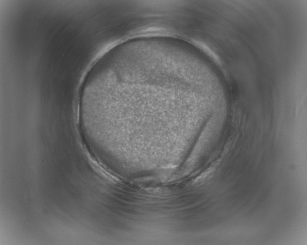 X0000074211413200609221929