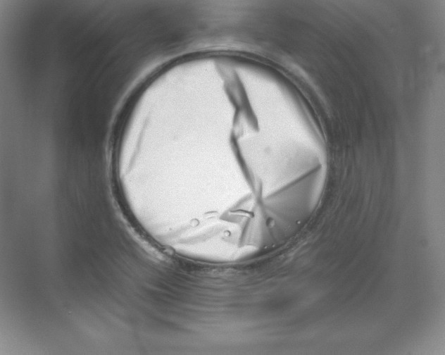 X0000074211416200609221930