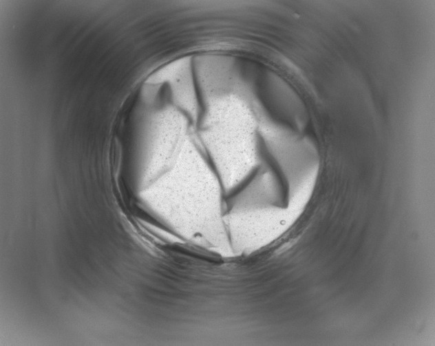 X0000074211417200609221930