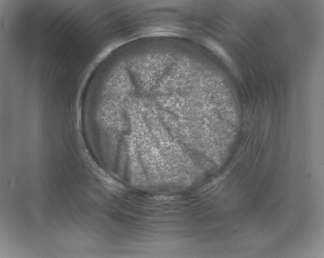 X0000074211419200609221930