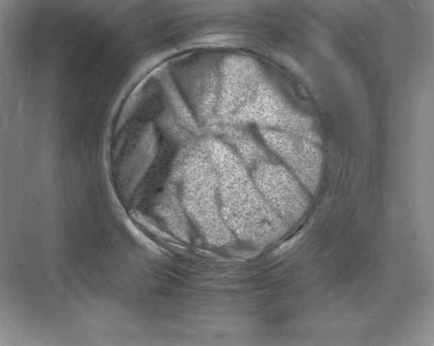 X0000074211421200609221930