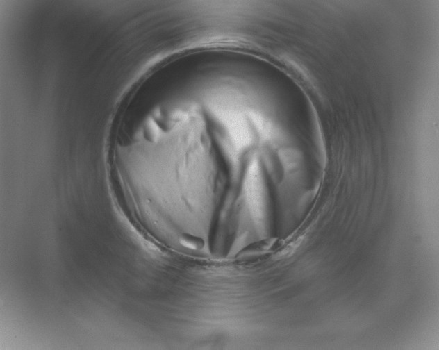 X0000074211422200609221930