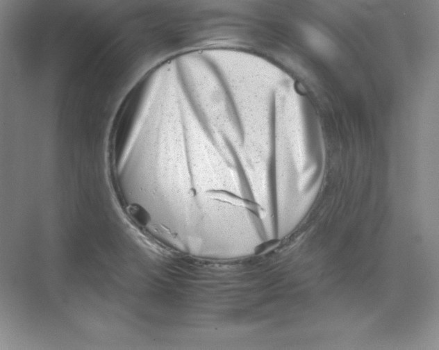 X0000074211423200609221930