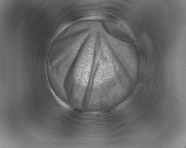 X0000074211425200609221930