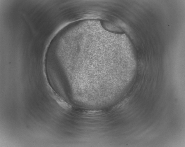 X0000074211427200609221930