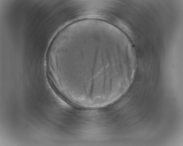 X0000074211428200609221930