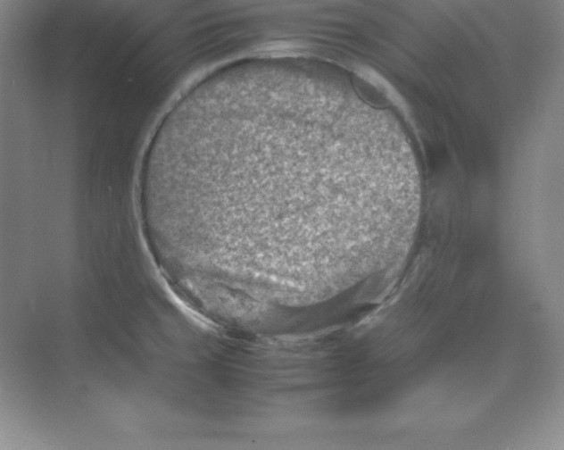 X0000074211429200609221930