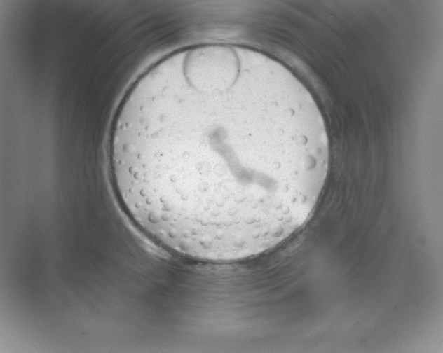 X0000074211432200609221930