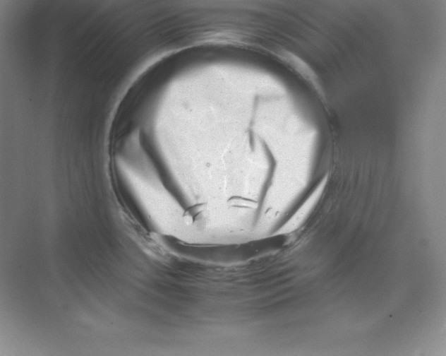 X0000074211435200609221930