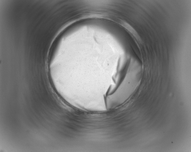 X0000074211436200609221930