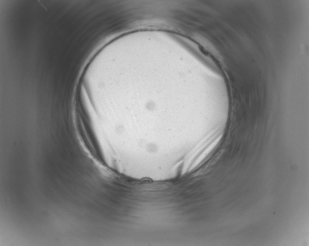 X0000074211440200609221930