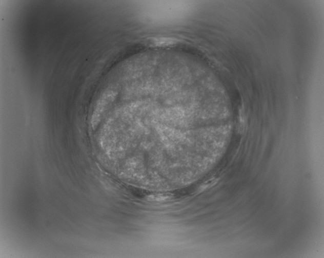 X0000074211441200609221929