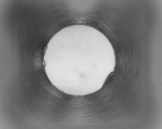 X0000074211442200609221929