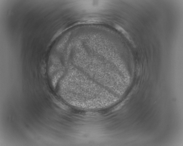 X0000074211449200609221929