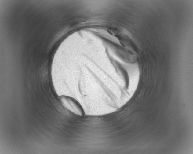 X0000074211450200609221929