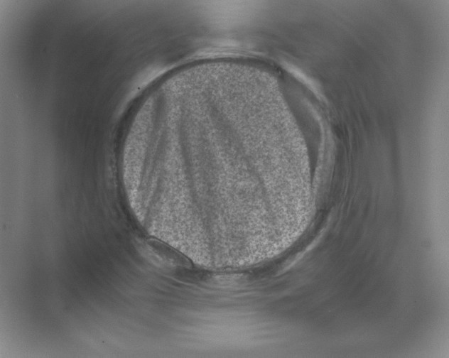 X0000074211453200609221929