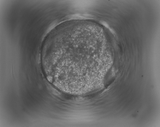 X0000074211459200609221929