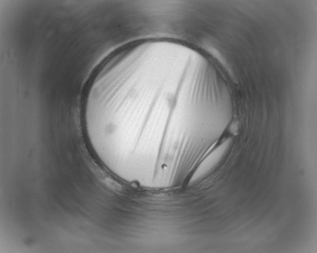 X0000074211460200609221929