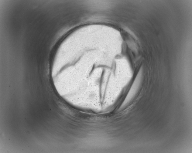 X0000074211461200609221929