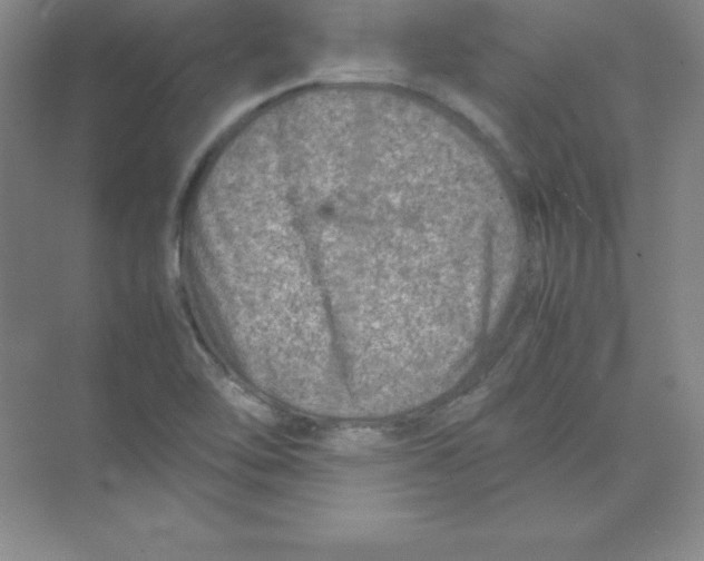 X0000074211462200609221929