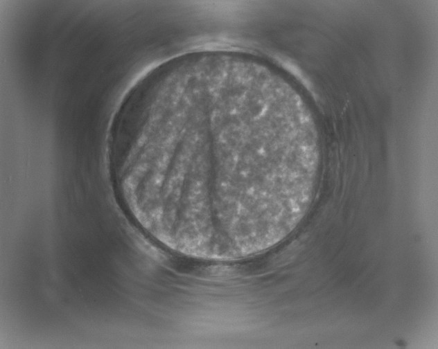 X0000074211463200609221929