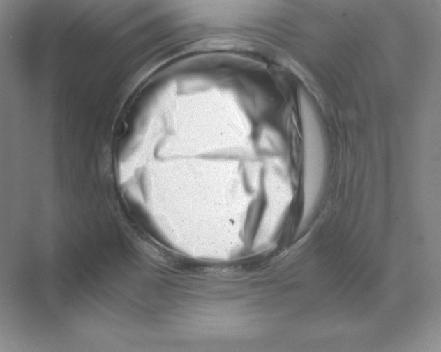 X0000074211465200609221929