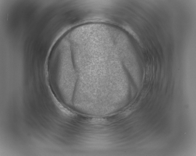 X0000074211466200609221929