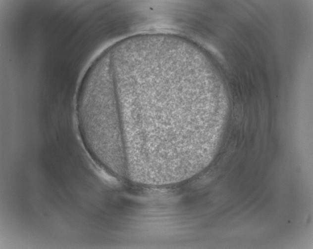 X0000074211470200609221929