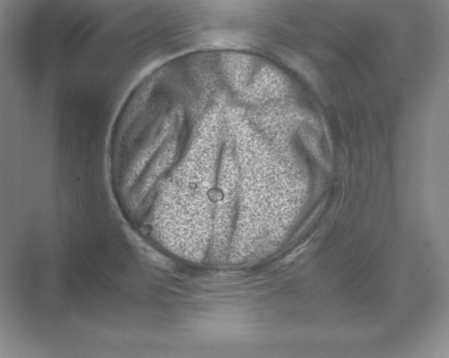 X0000074211471200609221929