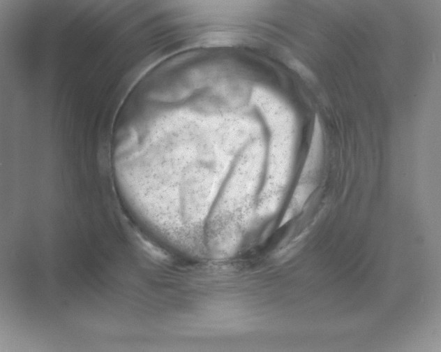 X0000074211473200609221929