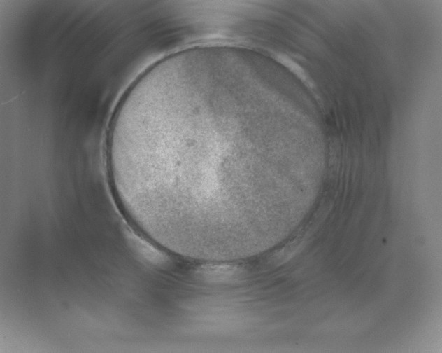 X0000074211474200609221929