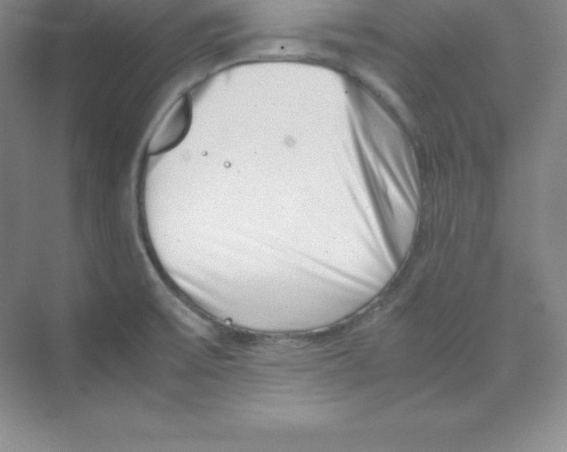 X0000074211475200609221929