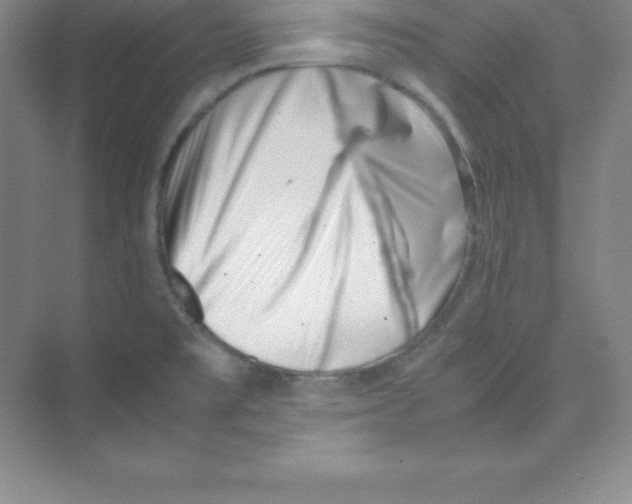 X0000074211477200609221929