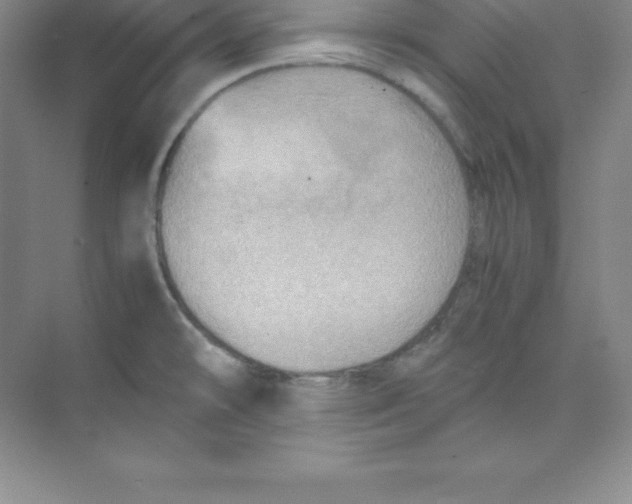 X0000074211478200609221929