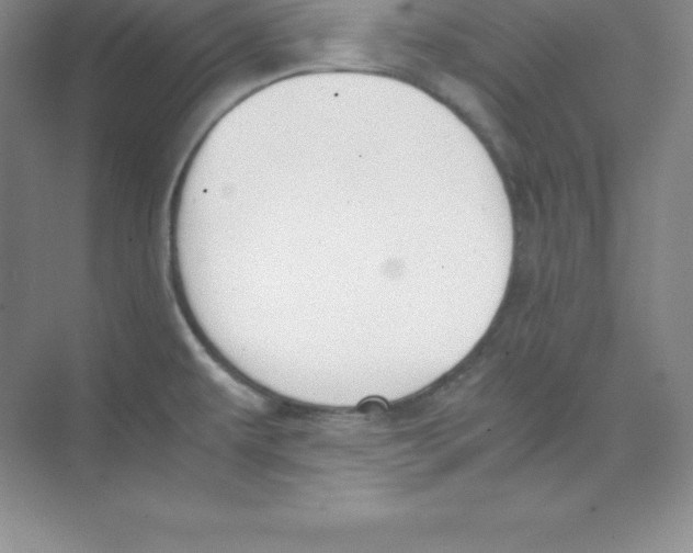 X0000074211479200609221929