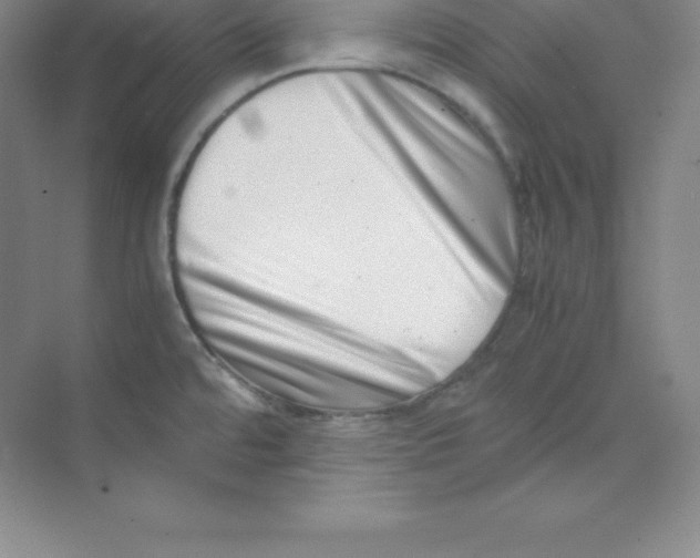 X0000074211480200609221928