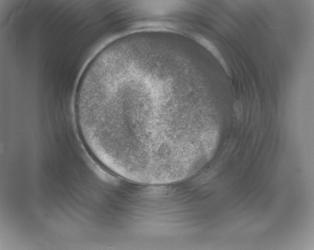 X0000074211482200609221928